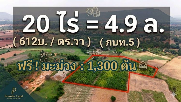 ขายที่ดินทางเลือก ภบท5 ราคาจับต้องง่าย.  612บ  ตร วา   20 ไร่.  4 9 ล้าน   ซื้อขาย เปลี่ยนชื่อได้  พื้นที่. ปลอดภัยฯ หายห่วง