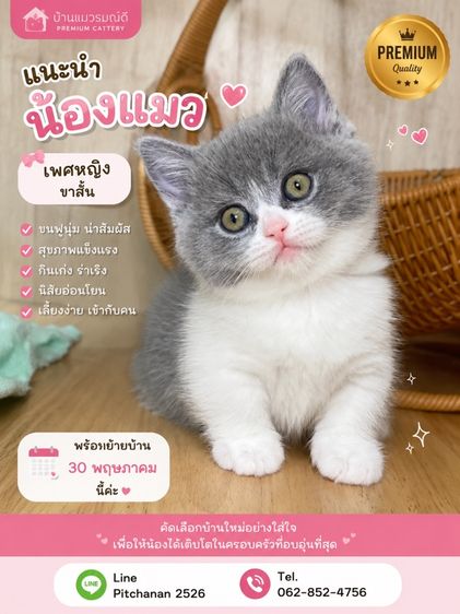 มันช์กิ้นขาสั้น