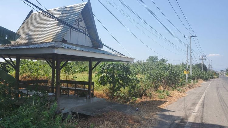 ขายที่ดิน 4 ไร่ ทำเลศักยภาพ หน้าโรงพยาบาล อ.ท่าหลวง จ.ลพบุรี รูปที่ 3