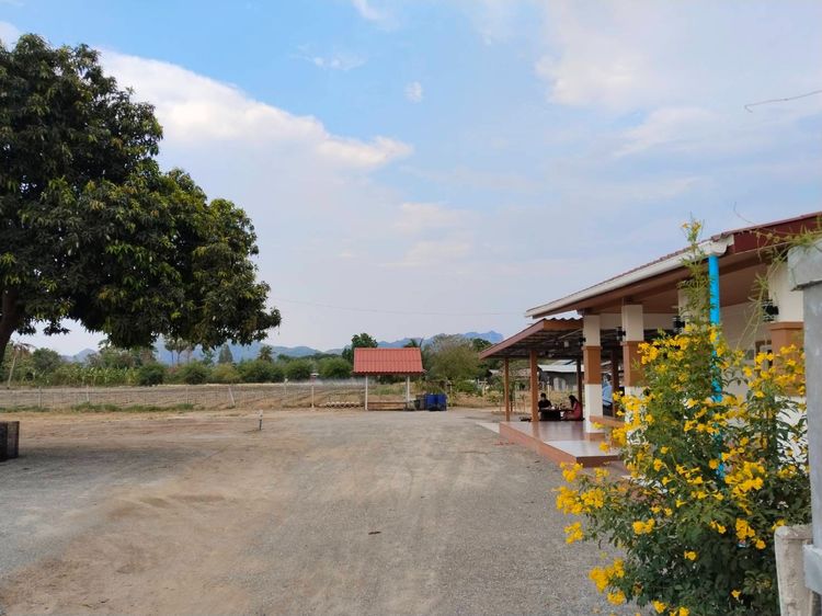ที่ดินเปล่า 100 ตรว