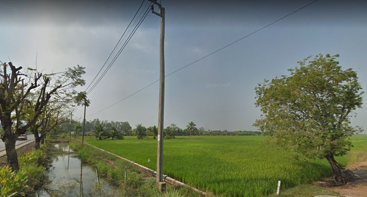 ขายที่ดินลาดกระบัง39ไร่ ถนนขุมทอง-ลำต้อยติ่ง แขวงขุมทอง เขตลาดกระบัง รูปที่ 4