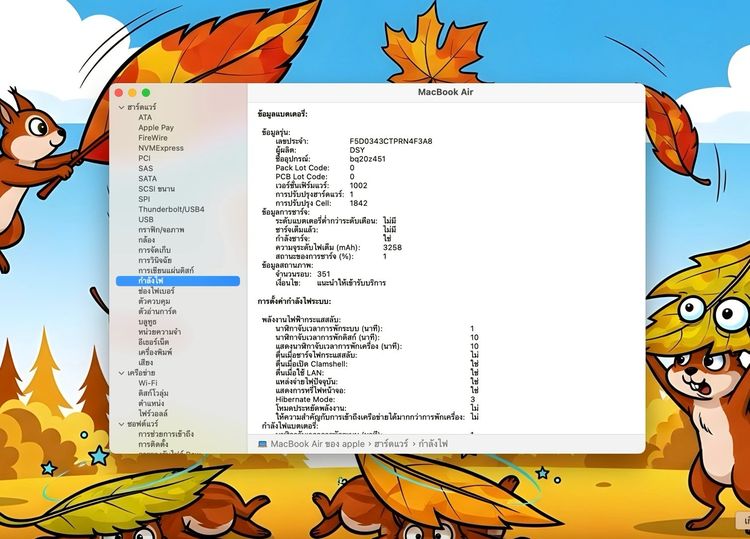 MacBook Air 13-inch 2020 Ram8GB SSD256GB Gold รูปที่ 14