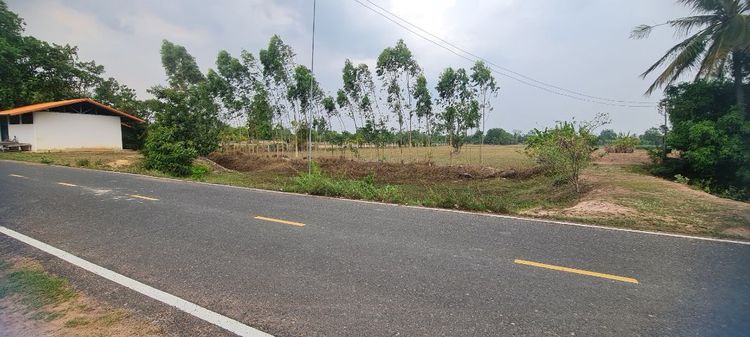 ไม่ใช่ บ้านที่ดินอสังหา รูปที่ 2