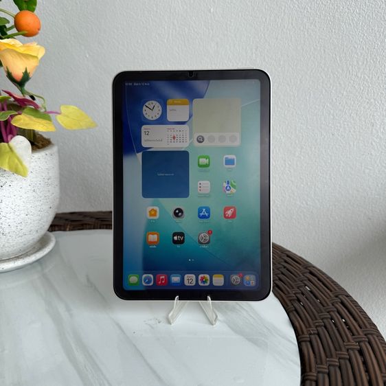 Apple 256 GB ipad mini 6 256g wifi