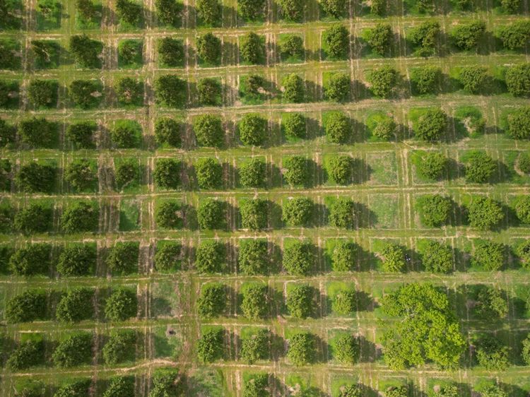 ใช่ 🌿 ขายที่ดินแปลงใหญ่ วิวธรรมชาติ จ.กาญจนบุรี 🌿 รูปที่ 4