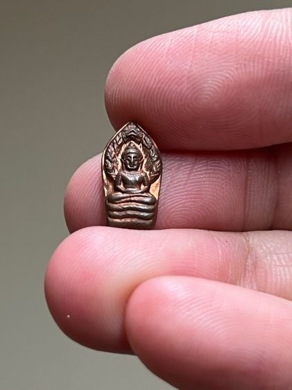 พระนาคปรกใบมะขาม ครูบาบุญชุ่ม รุ่นแรก  