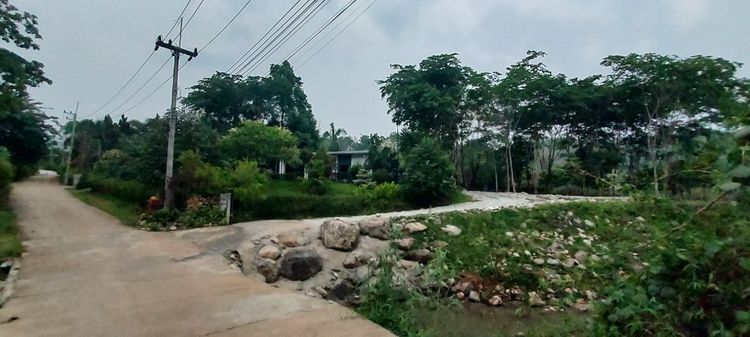ขายที่ดิน วิวสวยๆ ติดลำธาร แม่ริม เชียงใหม่