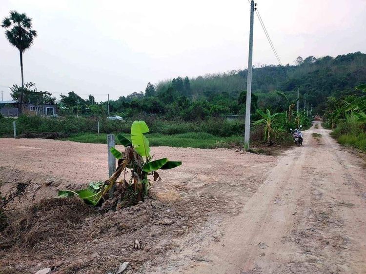 2026 บ้านริมเขา พะเนียง ถนน ชะอม - บ้านนา วิวเขาใหญ่ล้อม 360 องศา รูปที่ 3
