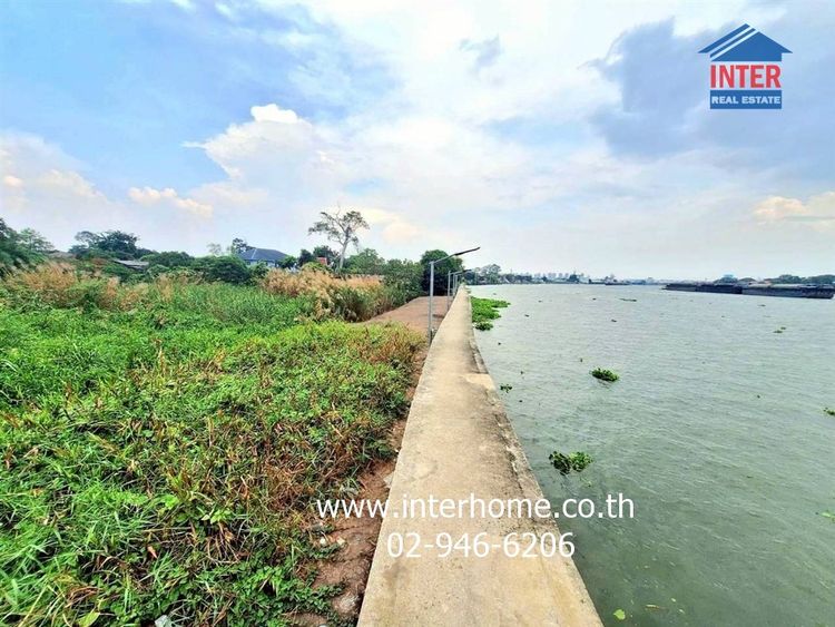 ที่ดินเปล่า 1463.9 ตร.ว. ที่ดินติดแม่น้ำเจ้าพระยา เมืองปทุมธานี ใกล้วัดเทียนถวาย ถนนบางบัวทอง-บางพูน(เส้น345) เมืองปทุมธานี ปทุมธานี รูปที่ 4