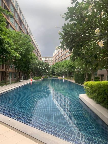 Dcondo creek Phuket