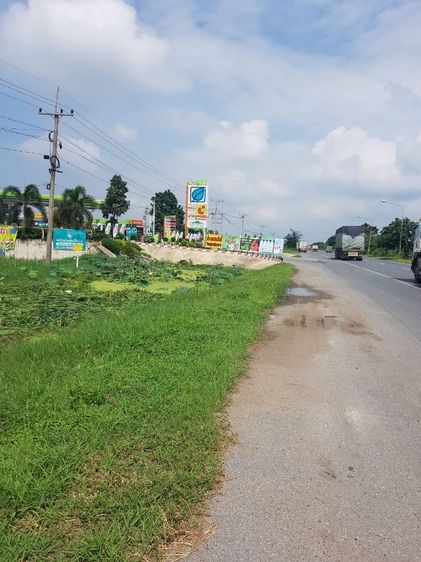 ขายที่ดินอยุธยาว่าละ15000,20000ติดถนนหลวงตัดใหม่ไแสุพรรน3 รูปที่ 3