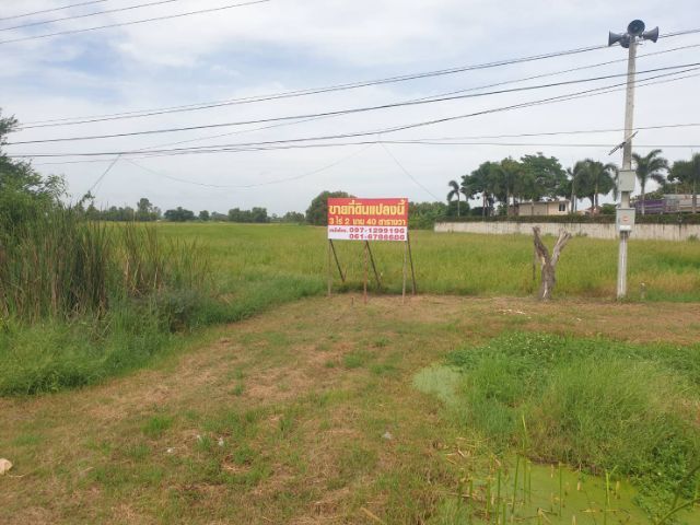 ขายที่ดินอยุธยาว่าละ15000,20000ติดถนนหลวงตัดใหม่ไแสุพรรน3
