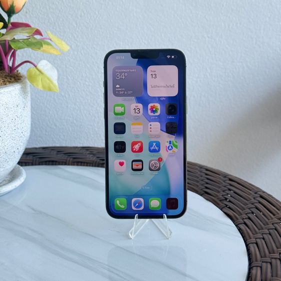 iphone 13 pro max 256g