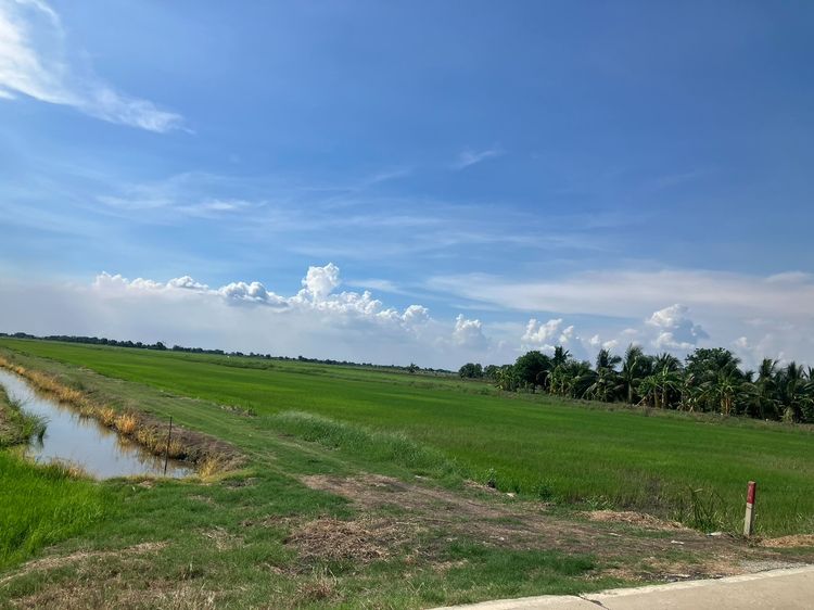 ขายที่ดินผืนใหญ่ 110 ไร่ ใกล้กรุงเทพฯ ทำโกดัง หมู่บ้านจัดสรรได้