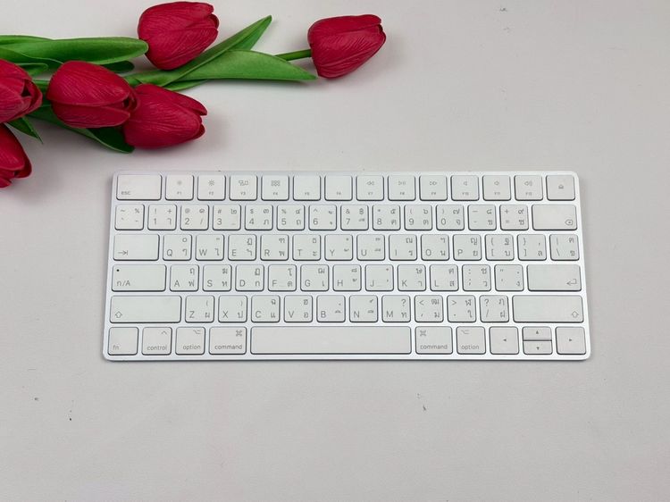 Apple Magic Keyboard2 (Lightning)