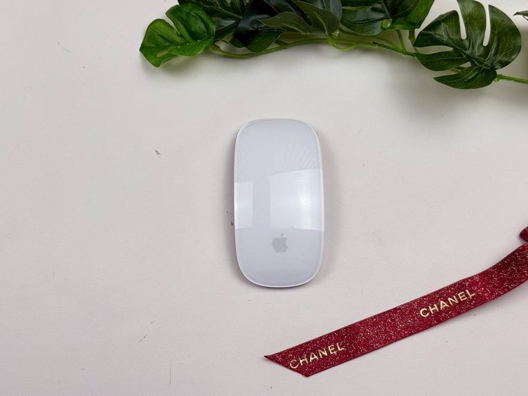 Apple Magic Mouse2 (Lightning) 