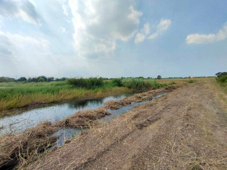 ขายที่ดินยกแปลง 7 ไร่กว่า ติดถนนใหญ่ อ.เสนา อยุธยา เดินทางสะดวก เพียง 8.5 ล้าน