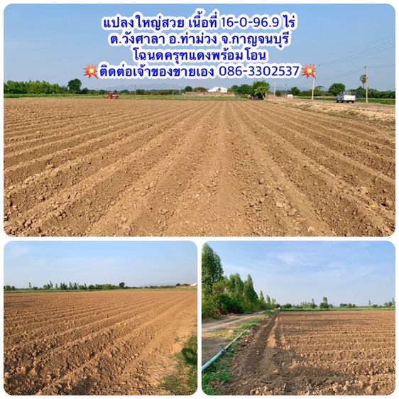 ที่ดินสวยผืนใหญ่2แปลง วังศาลา ท่าม่วง ทำเลทอง เนื้อที่รวม26ไร่ โฉนดครุฑแดงพร้อมโอน เข้าออกได้หลายทาง ติดถนนสาธารณะ ไฟฟ้าประปาครบ ใกล้M81 รูปที่ 3