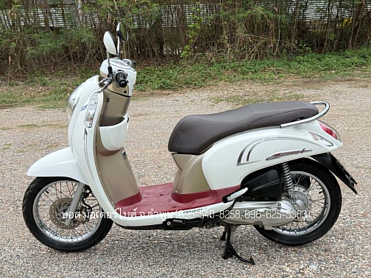 Honda 2016 Scoopy i Prestige งามกริ๊ป รถปี60 เครื่องดีมาก ภาษีเต็ม 70 ชุดโอนครบ ดาวน์เพียง 5900 ไม่ค้ำ ผ่อนสบายๆ จร้า