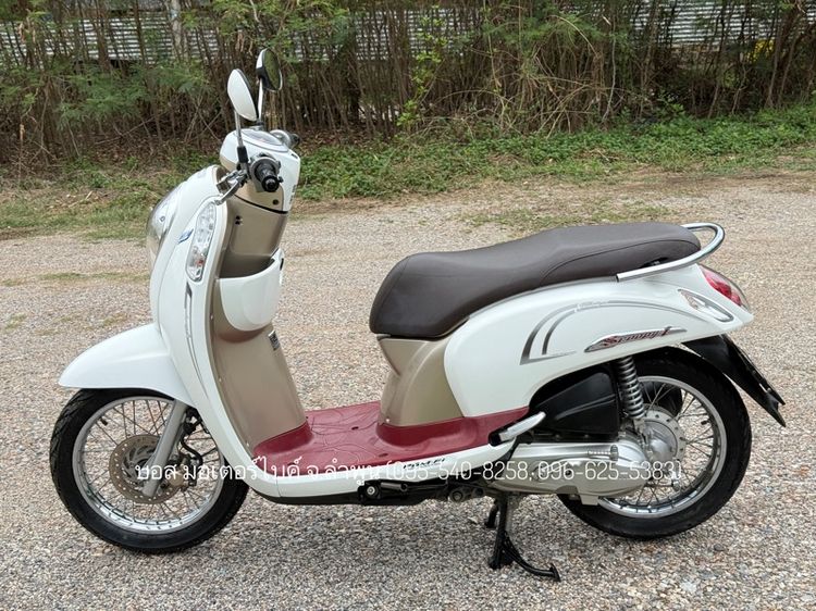 Honda 2016 Scoopy i Prestige งามกริ๊ป รถปี60 เครื่องดีมาก ภาษีเต็ม 70 ชุดโอนครบ ดาวน์เพียง 5900 ไม่ค้ำ ผ่อนสบายๆ จร้า