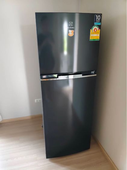 ตู้เย็น 2 ประตู ตู้เย็น Electrolux 11.3 คิว