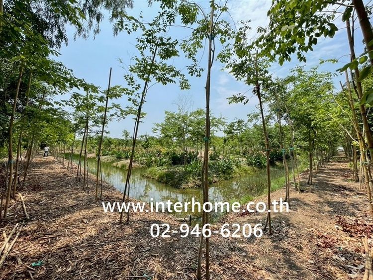ที่ดินเปล่า 3 ไร่ ที่ดิน ใกล้การไฟฟ้าส่วนภูมิภาคหนองเสือ ซอยเทศบาล6 ถนนรังสิต-นครนายก หนองเสือ ปทุมธานี รูปที่ 3
