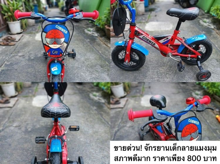 ขายจักรยานเด็ก LA Bicycle รุ่น Cobweb (ลายแมงมุม)