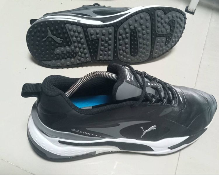 Puma golf