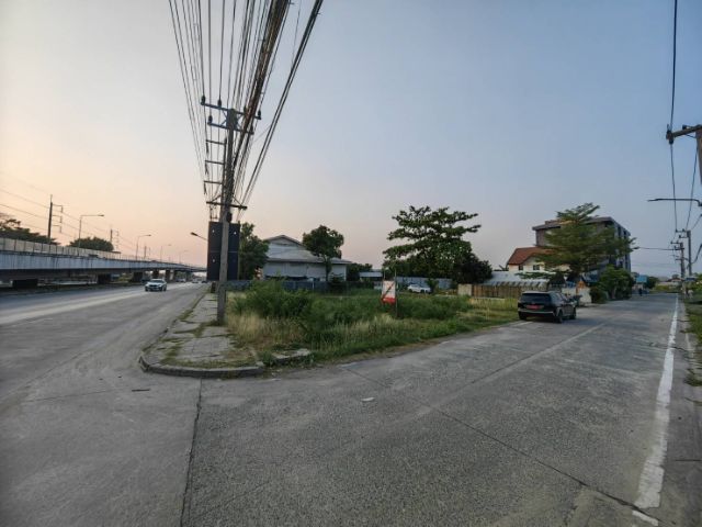 ไม่ใช่ ให้เช่าที่ดิน 231 ตรว. ติดถนนใหญ่ ทำเลดีมาก ตรงข้ามมหาลัยปทุม รูปที่ 3