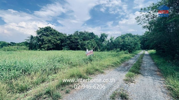 ที่ดินเปล่า 590 ตร.ว. ที่ดิน โครงการชลพฤกษ์ รีสอร์ท ซอยใกล้อาคารสัมนาของโครงการ ถนนรังสิต-นครนายก ถนนทางหลวงสายเอเซียสาย1 บ้านนา นครนายก รูปที่ 4