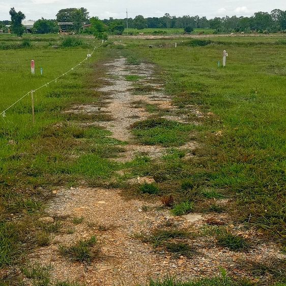 ที่ดิน ต.เลาขวัญ