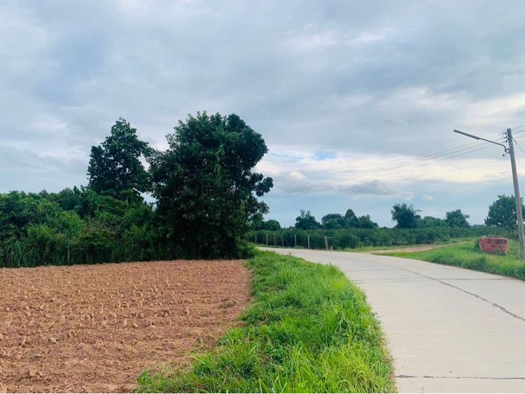 ขายที่ดิน 13 ไร่เศษ อำเภอบ้านไผ่ จังหวัดขอนแก่น