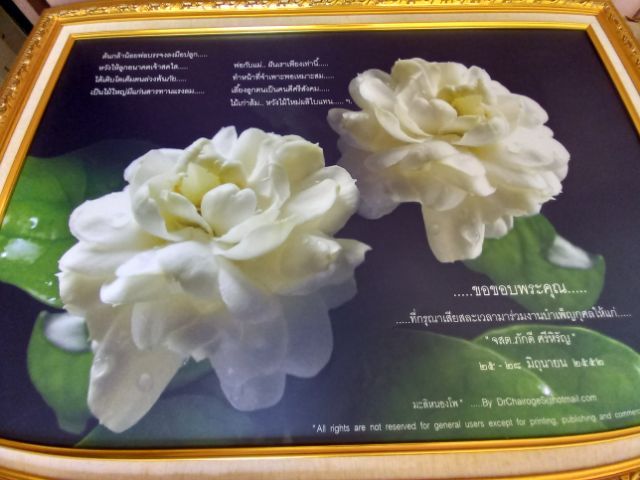 ขายรูปภาพ