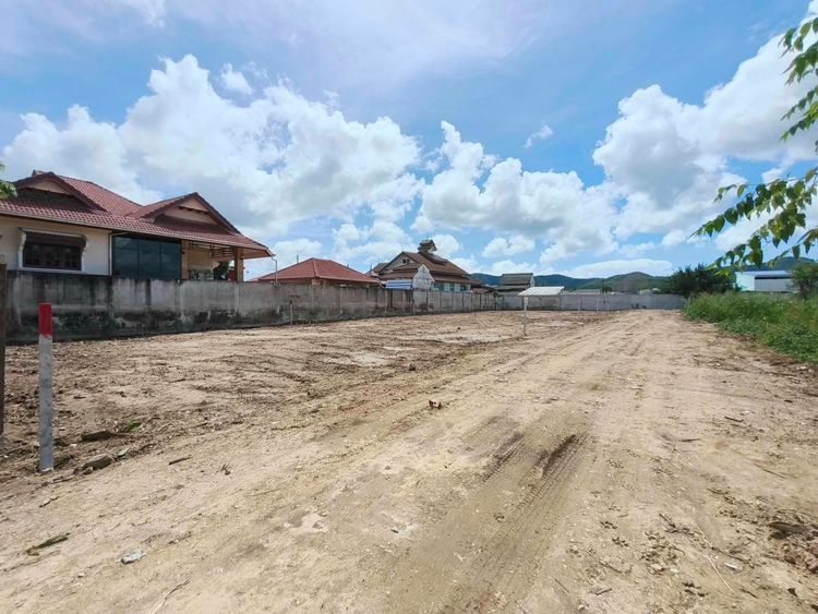 ที่ดินสัตหีบแบ่งขาย เริ่มต้น 64 ตร.วา  ใกล้ถนนสุขุมวิท ใกล้บิ้กซีและแมคโคร รูปที่ 4