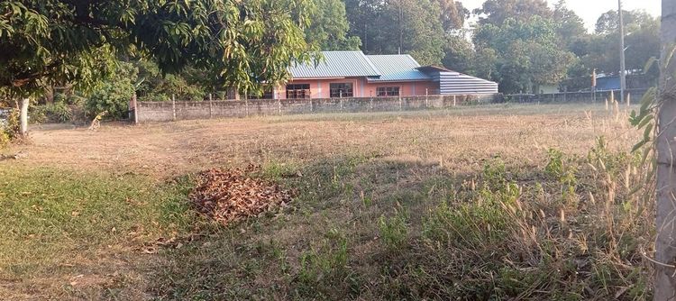 ที่ดินเปล่า 88 ตร.ว. ที่ดิน ใกล้เทศบาลเมืองอุบลราชธานี ถนนพีระพล ถนนชยางกูร เมืองอุบลราชธานี อุบลราชธานี