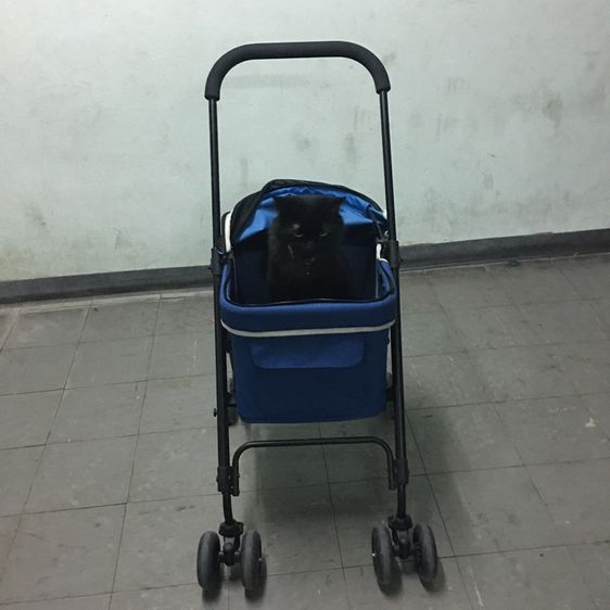 รถเข็นสัตว์เลี้ยง ยี่ห้อ Ibiyaya แบบ4ล้อ รุ่น FS1732 Astro Go Lite Pet Stroller รับน้ำหนักได้ 8 Kg.พับเก็บได้ มือสอง สภาพใหม่ รูปที่ 15