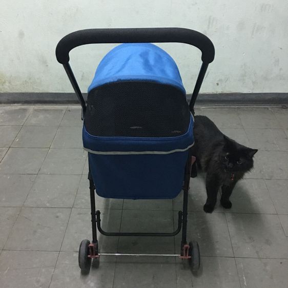 รถเข็นสัตว์เลี้ยง ยี่ห้อ Ibiyaya แบบ4ล้อ รุ่น FS1732 Astro Go Lite Pet Stroller รับน้ำหนักได้ 8 Kg.พับเก็บได้ มือสอง สภาพใหม่ รูปที่ 13