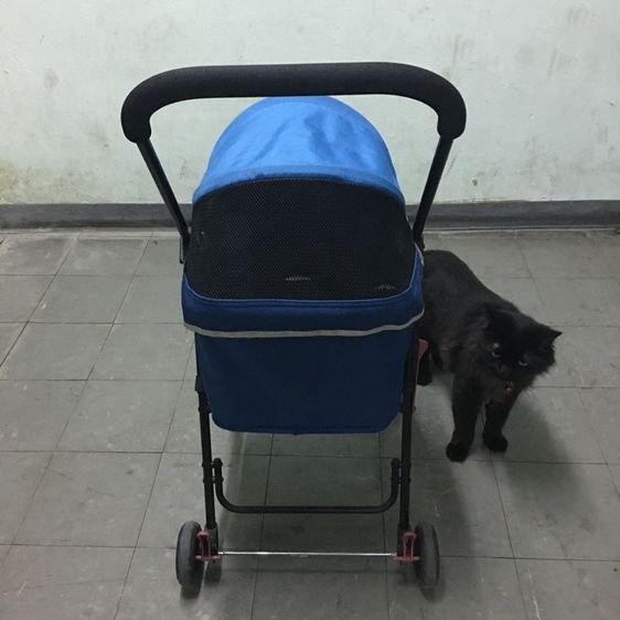 รถเข็นสัตว์เลี้ยง ยี่ห้อ Ibiyaya แบบ4ล้อ รุ่น FS1732 Astro Go Lite Pet Stroller รับน้ำหนักได้ 8 Kg.พับเก็บได้ มือสอง สภาพใหม่ รูปที่ 11