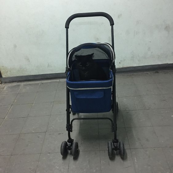 รถเข็นสัตว์เลี้ยง ยี่ห้อ Ibiyaya แบบ4ล้อ รุ่น FS1732 Astro Go Lite Pet Stroller รับน้ำหนักได้ 8 Kg.พับเก็บได้ มือสอง สภาพใหม่ รูปที่ 16