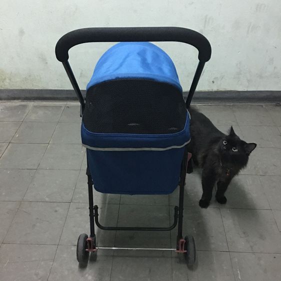 รถเข็นสัตว์เลี้ยง ยี่ห้อ Ibiyaya แบบ4ล้อ รุ่น FS1732 Astro Go Lite Pet Stroller รับน้ำหนักได้ 8 Kg.พับเก็บได้ มือสอง สภาพใหม่ รูปที่ 12