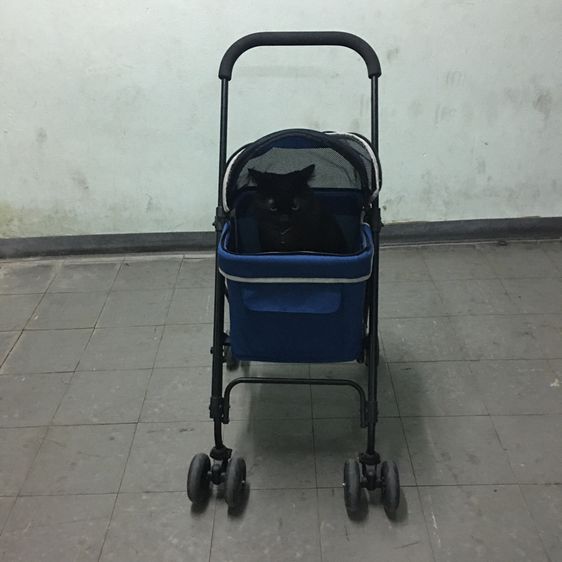 รถเข็นสัตว์เลี้ยง ยี่ห้อ Ibiyaya แบบ4ล้อ รุ่น FS1732 Astro Go Lite Pet Stroller รับน้ำหนักได้ 8 Kg.พับเก็บได้ มือสอง สภาพใหม่ รูปที่ 17