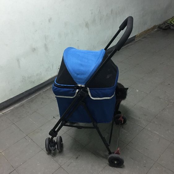 รถเข็นสัตว์เลี้ยง ยี่ห้อ Ibiyaya แบบ4ล้อ รุ่น FS1732 Astro Go Lite Pet Stroller รับน้ำหนักได้ 8 Kg.พับเก็บได้ มือสอง สภาพใหม่ รูปที่ 8