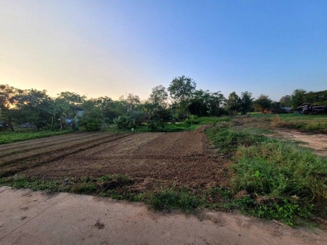 ขายที่ดิน