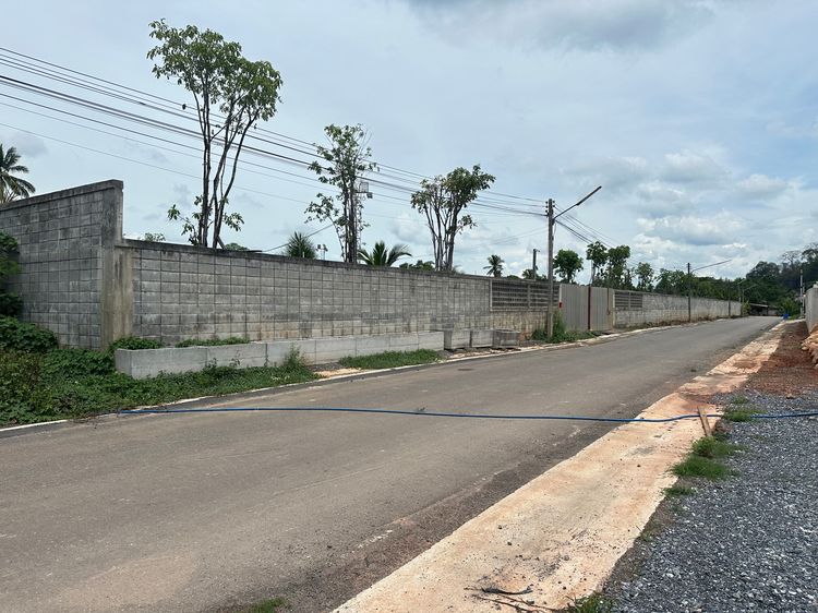 ที่ดิน 5-1-10 ไร่ (ถมแล้ว รั้วล้อมรอบ น้ำไม่ท่วม)ถนนพัฒนาการ ซอย 12 รูปที่ 4