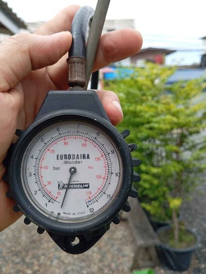 เกจ์วัดลมยาง Eurodaira Wonder 130 Made in Italy แท้ 