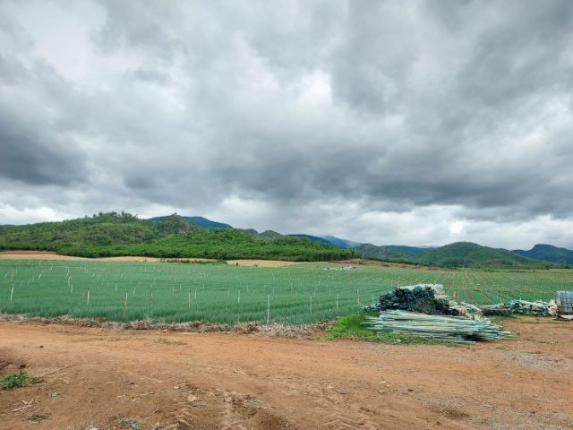 ต้องการขายที่ดินอยู่อำเภอหนองปรือจังหวัดกาญจนบุรี