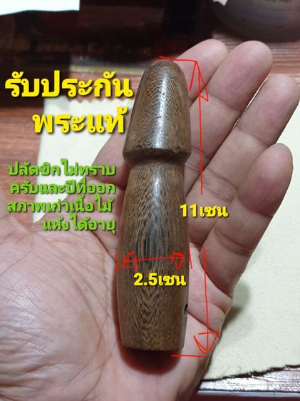 ปลัดขิกมีรอยจาร เนื้อไม้แห้งเก่าไม่ทราบวัดและปีที่ออก