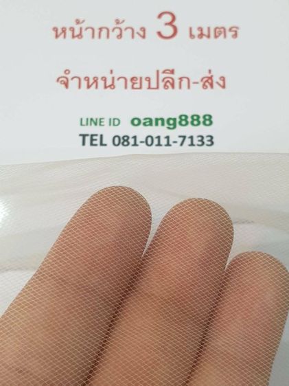 ผ้าตาข่ายหน้ากว้าง 3 เมตร รูปที่ 2