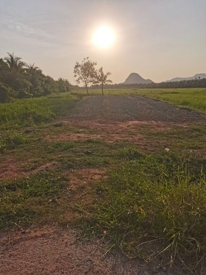 ที่ดินสี่เหลี่ยมผืนผ้าด้านหน้าติดถนนคอนกรีตด้านหลังเห็นวิวภูเขา รูปที่ 3