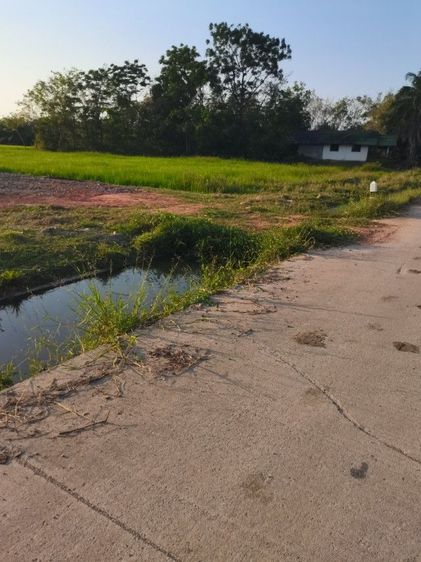 ที่ดินสี่เหลี่ยมผืนผ้าด้านหน้าติดถนนคอนกรีตด้านหลังเห็นวิวภูเขา รูปที่ 2